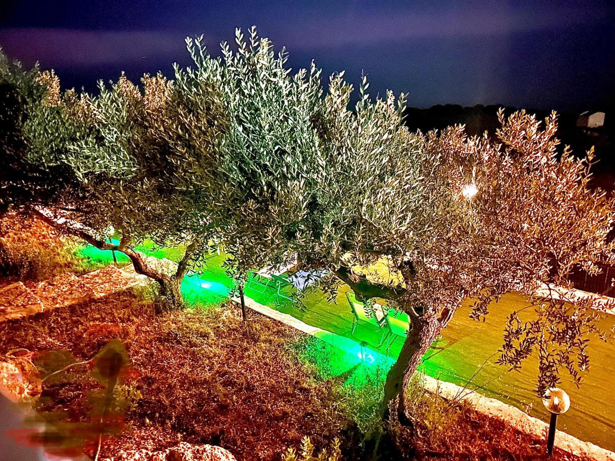 La Collina Sul Mare Bed and Breakfast Palma di Montechiaro Exteriör bild